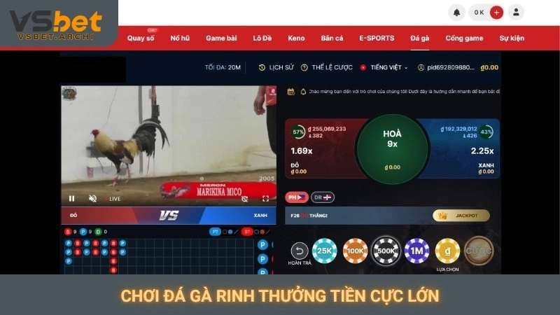 Chơi đá gà rinh thưởng tiền cực lớn
