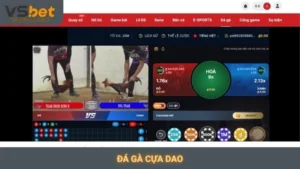 Đá gà cựa dao Vsbet
