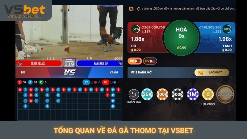 Tổng quan về đá gà Thomo tại Vsbet