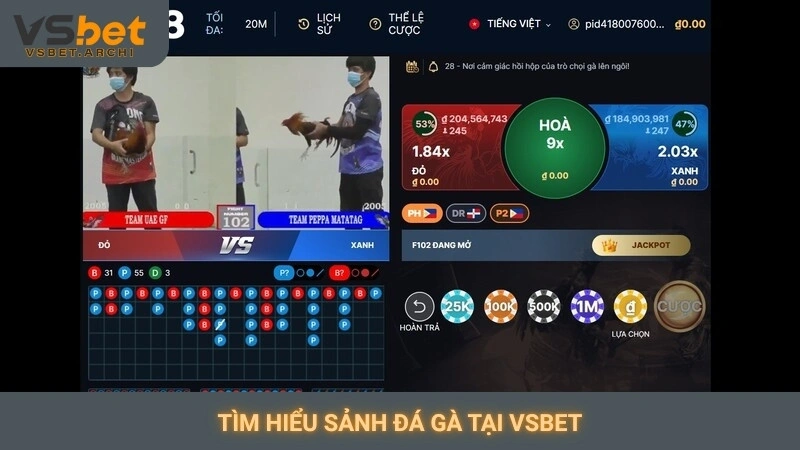 Tìm hiểu sảnh đá gà tại Vsbet